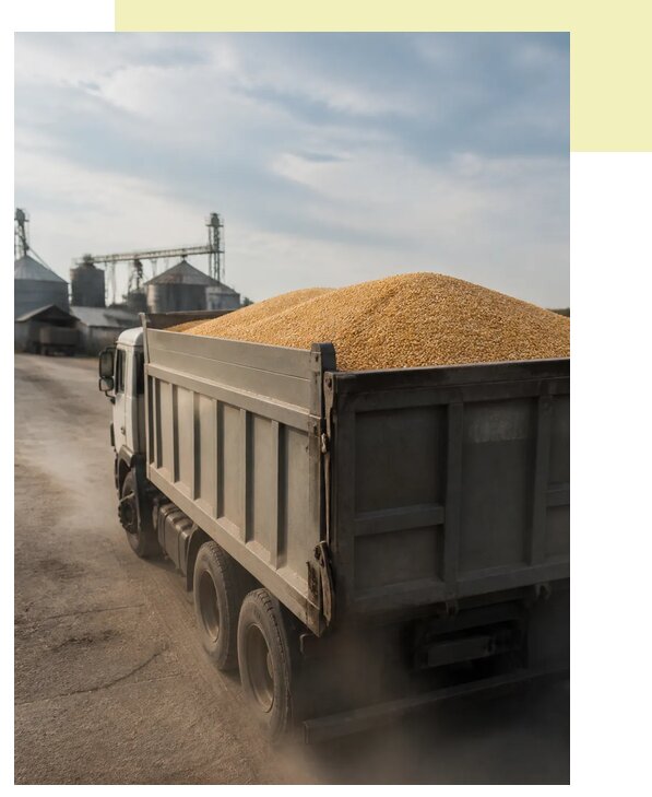 Перевозка сельхозпродукции навалом в Ангарск по цене от 3082 р. | Агросервис-Нгр